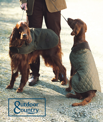 barbour coats for dogs
