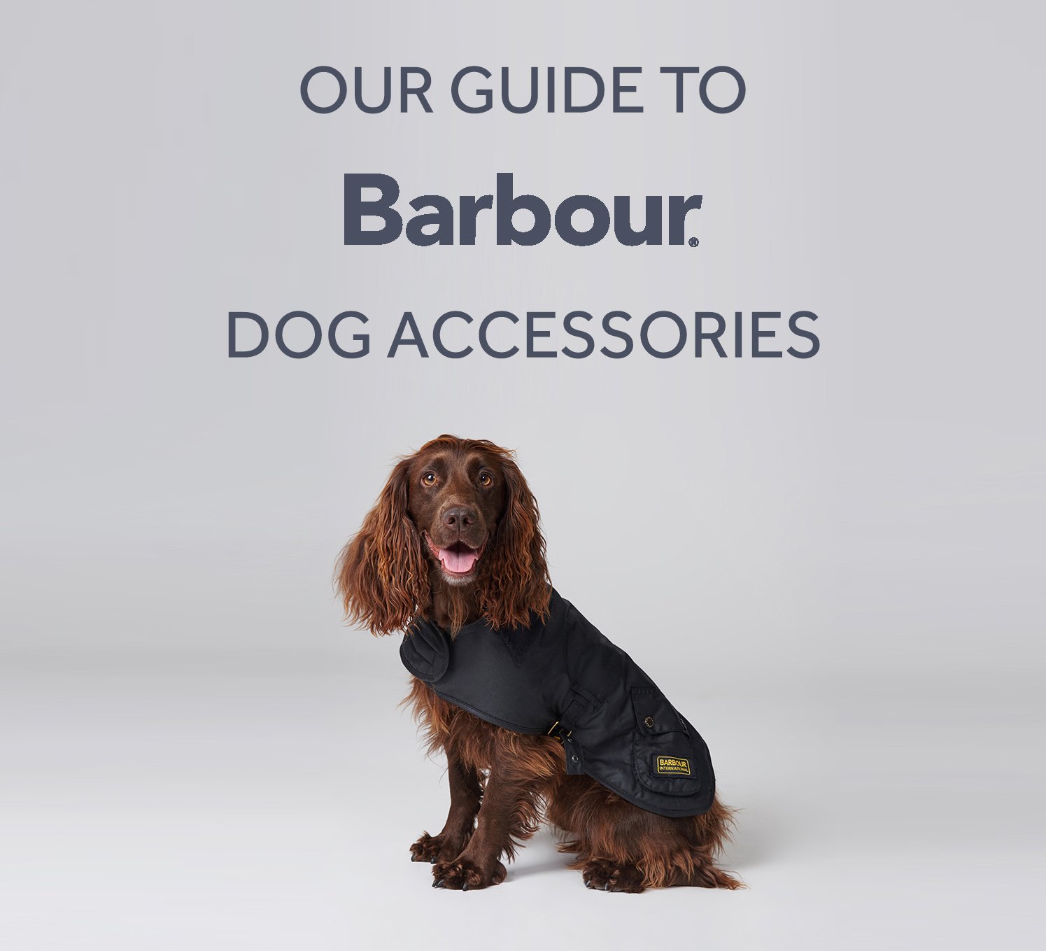barbour dog coat medium